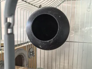 鹦鹉鸟窝