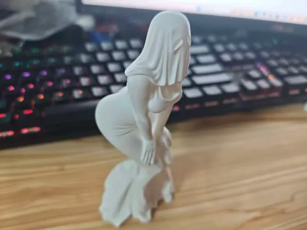 https://makerworld.bblmw.com/makerworld/model/DSM00000001925686/design/2025-10-26_2f00d83a296f3.jpg