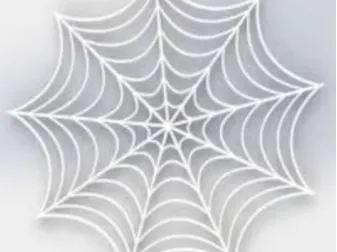 Spider Web