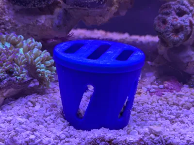 Sand Bed Coral Plug