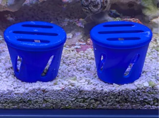 Sand Bed Coral Plug Cage