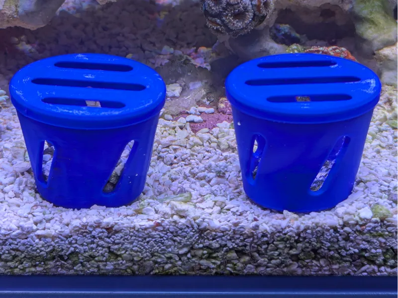 Sand Bed Coral Plug Cage