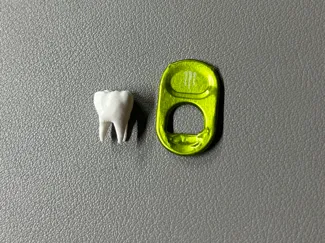 Realistic Tooth Molar