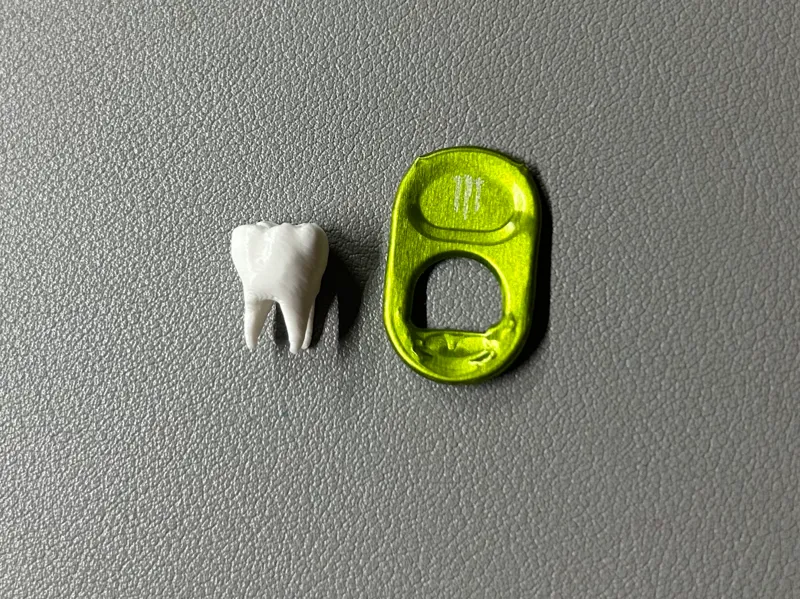Realistic Tooth Molar