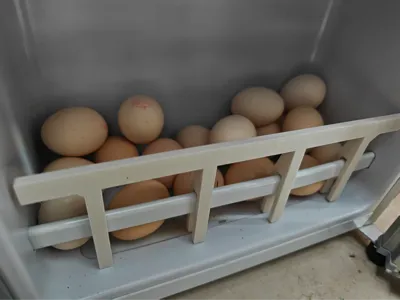 Refrigerator Egg Riser Fence