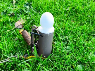 dog proof coon trap cover egg with or without bait