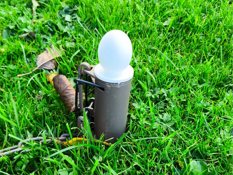 dog proof coon trap cover egg with or without bait