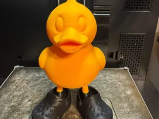 Can you make a duck with crocs?... Duck with Crocs