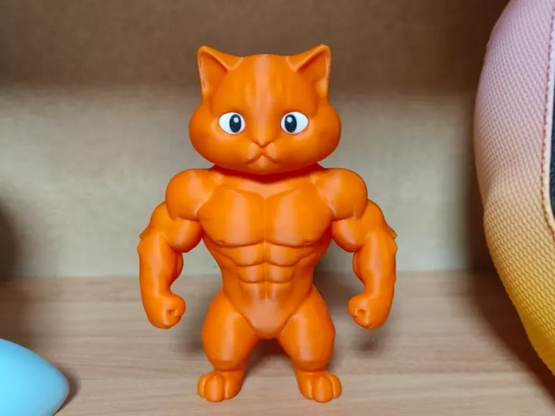 肌肉猫咪