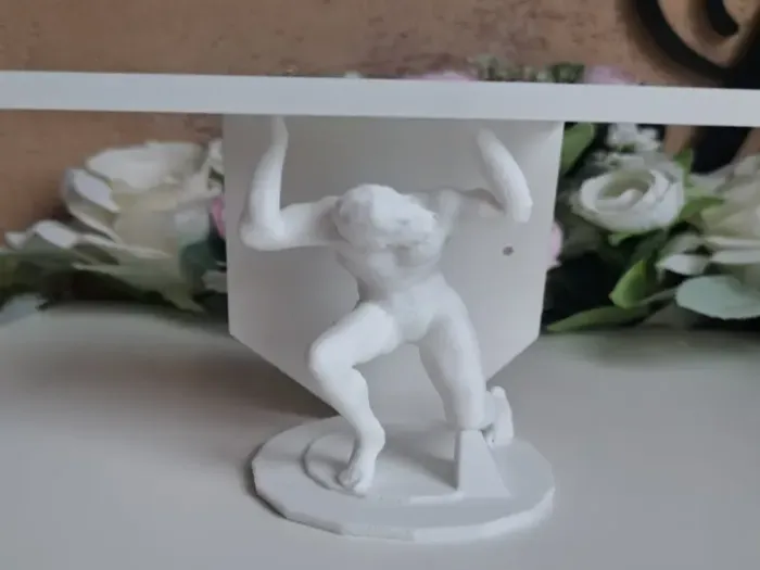 Atlas Shelf Support