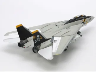 Grumman F-14 Tomcat