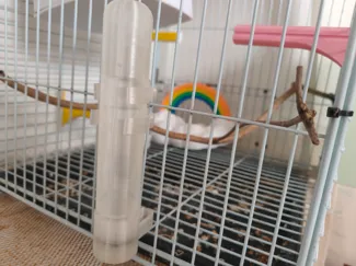 小鸟饮水器