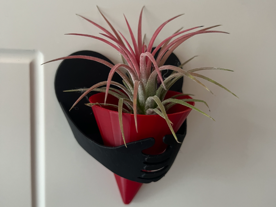 空气凤梨种植器花瓶盆栽无AMS丨不漏水可水培其他小型植物丨墙面花盆花瓶