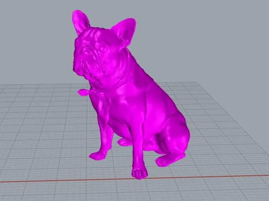 Bulldog francese