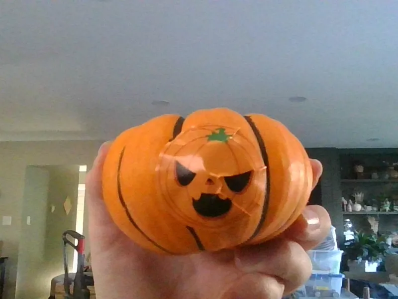 mesh pumpkin lantern