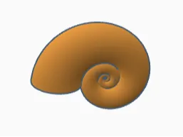 Nautilus shells