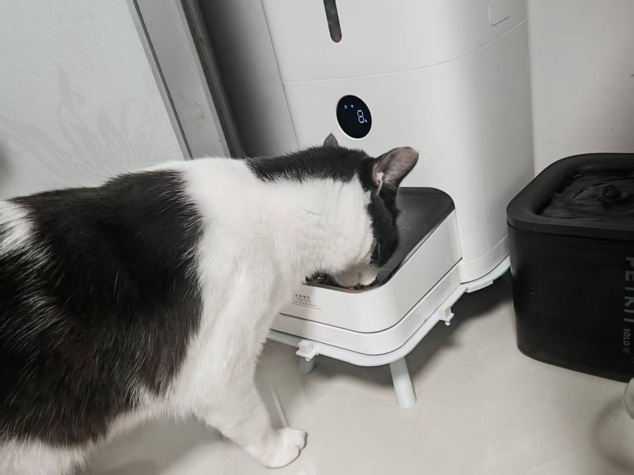 米家智能喂食器2增高架