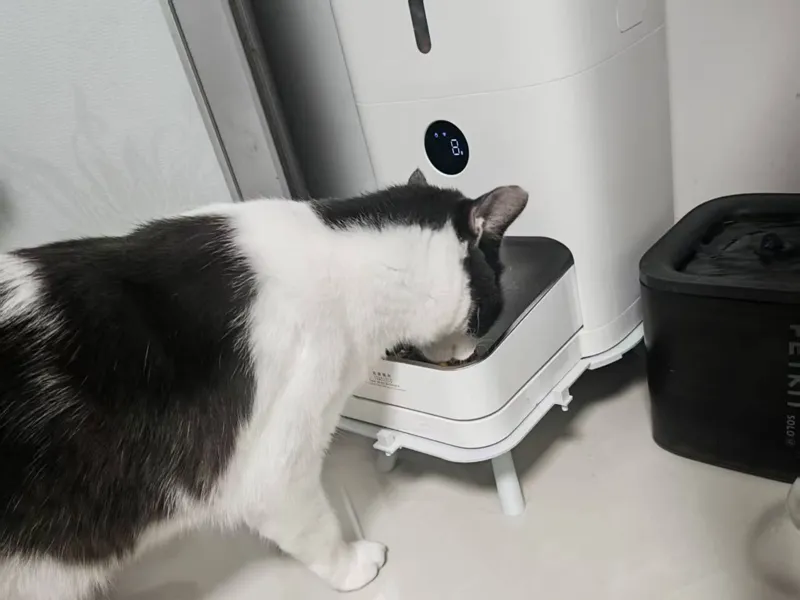 米家智能喂食器2增高架