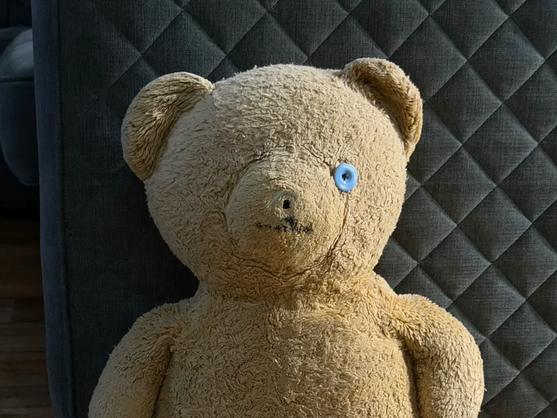Mr Bear