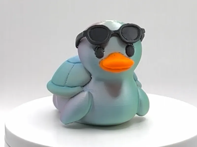 Quack & Shell: The Turtle with a Quirky Twist