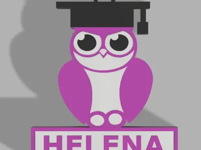 Graduation Owl