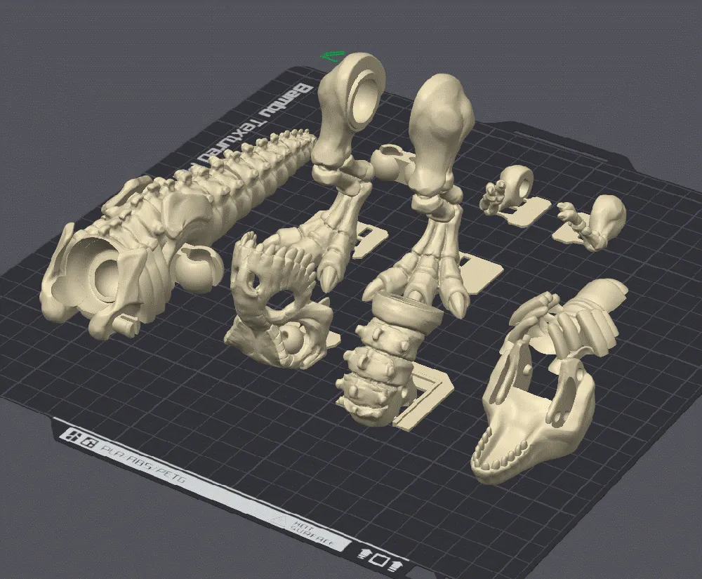 T-Rex Skeleton Model by Spacerman-xx MakerWorld: Download Free 3D Models