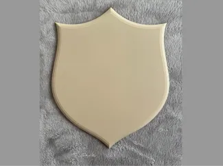 Wandhalterung für Trophy´s 