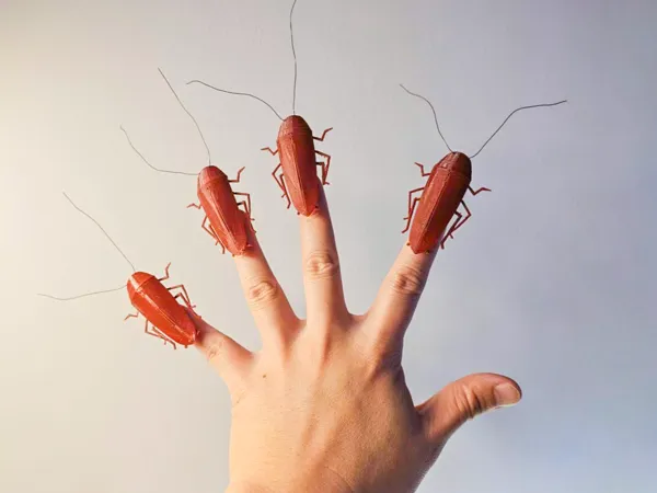 https://makerworld.bblmw.com/makerworld/model/DSM00000001946063/design/2025-11-01_e2093005b3818.jpg