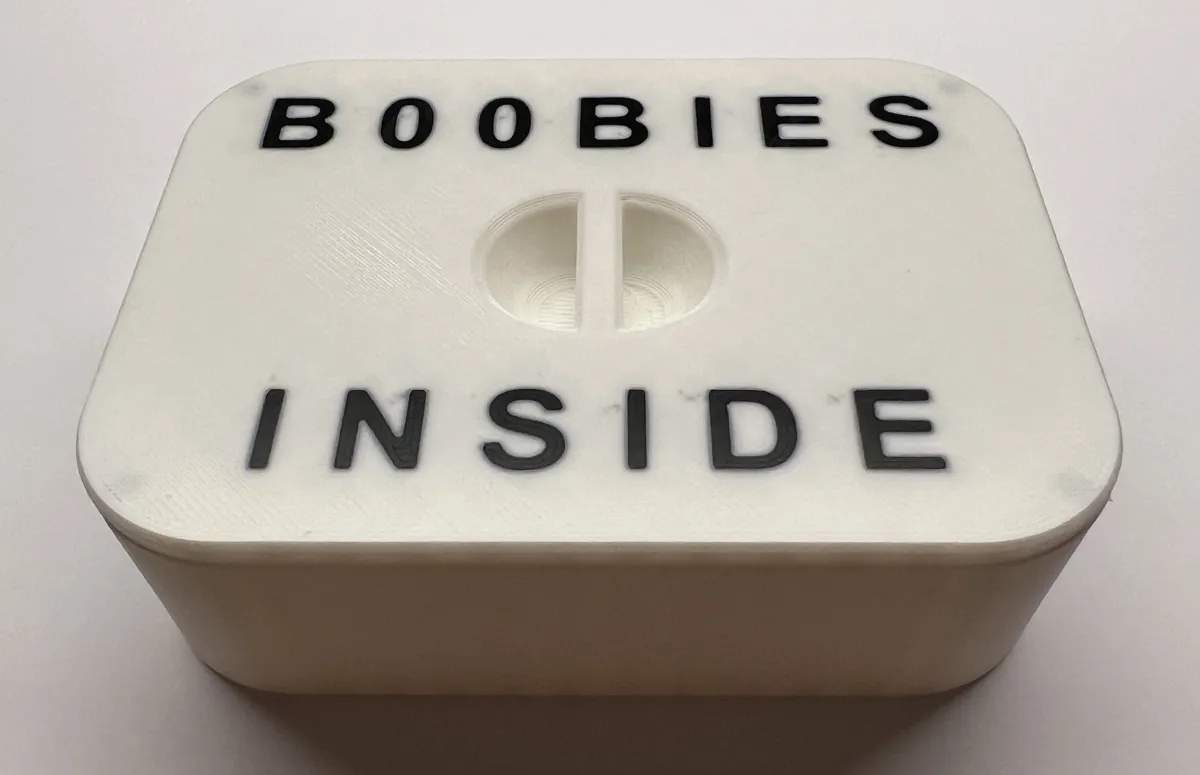 Boobies Inside Box MMU/AMS - Free 3D Print Model - MakerWorld