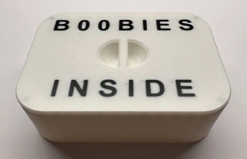 Boobies Inside Box MMU/AMS