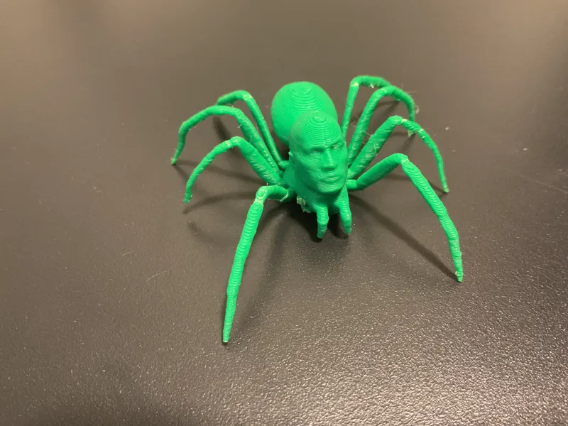 Dwayne the Spider Johnson