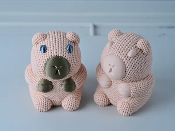 https://makerworld.bblmw.com/makerworld/model/DSM00000001949294/design/2025-11-02_455fadce2e1b48.jpg