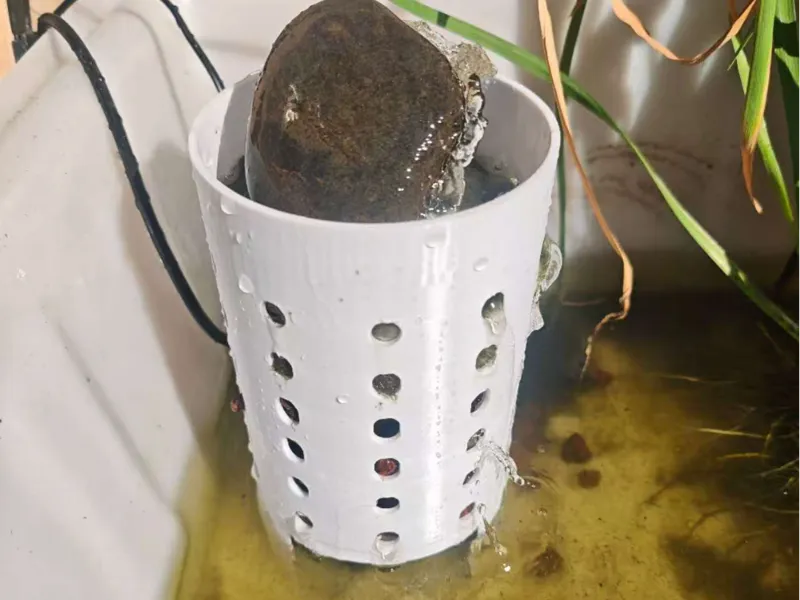 龟缸过滤摆件