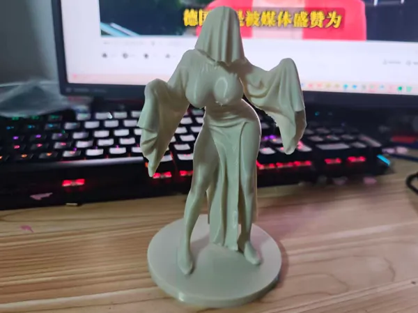 https://makerworld.bblmw.com/makerworld/model/DSM00000001949476/design/2025-11-02_60261f71bca22.jpg