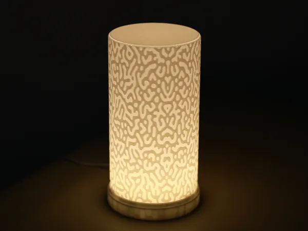 https://makerworld.bblmw.com/makerworld/model/DSM00000001949850/design/2025-08-26_7ed3fa9c4c41e.jpg