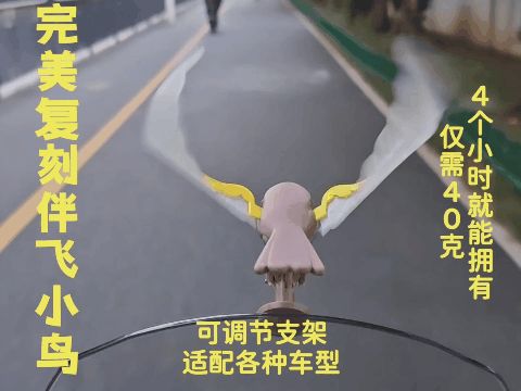 https://makerworld.bblmw.com/makerworld/model/DSM00000001953419/design/2025-11-02_698c35774c0ec.gif