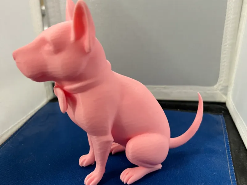 Capyhuahua
