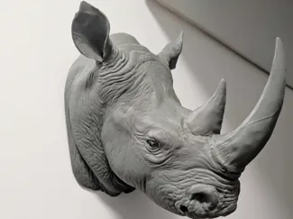 Rhino Head
