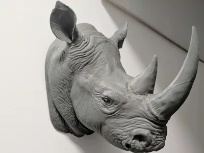 Rhino Head