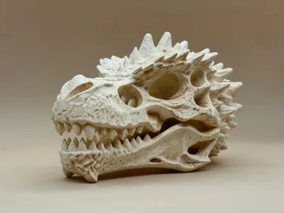 化石骨架| 收藏夹- MakerWorld：下载免费3D模型