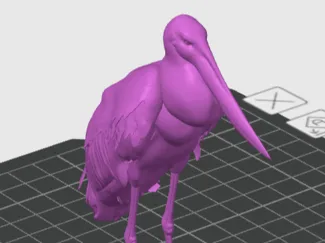 tuiuiu