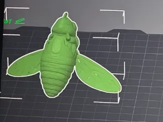 Bug