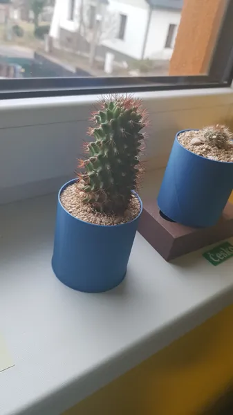 https://makerworld.bblmw.com/makerworld/model/DSM00000001959043/design/2025-11-04_64otpx4mk7hk.jpg