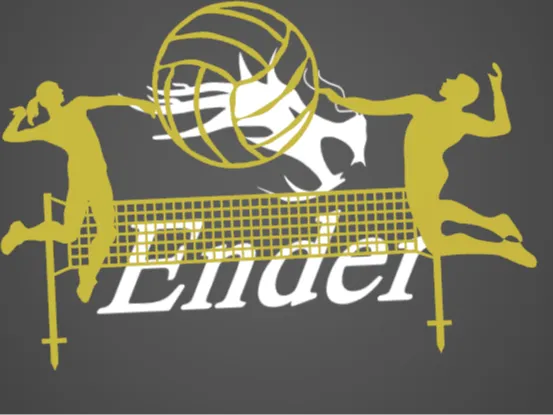Volleyball decoration