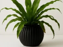 curved plant pot wavy
