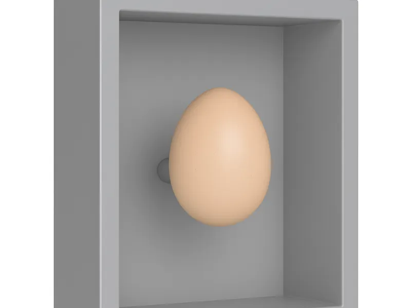 Egg Shadow Box 