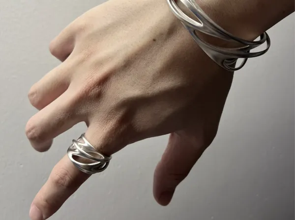 https://makerworld.bblmw.com/makerworld/model/DSM00000001960852/design/2025-11-05_10a7b4e2abc7c.jpg
