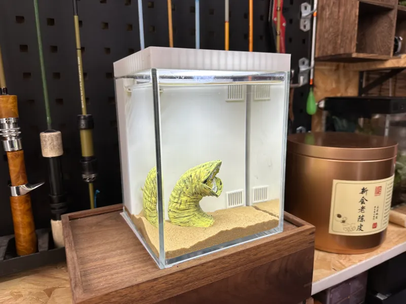 15x15x18背滤小鱼缸分享，详细制作教程x音搜索早点路亚