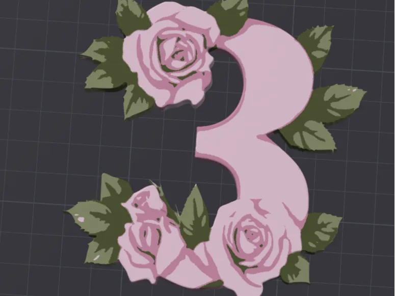 ROSA 3D