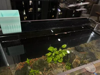 80鱼缸背滤